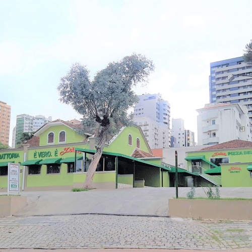 Portfólio